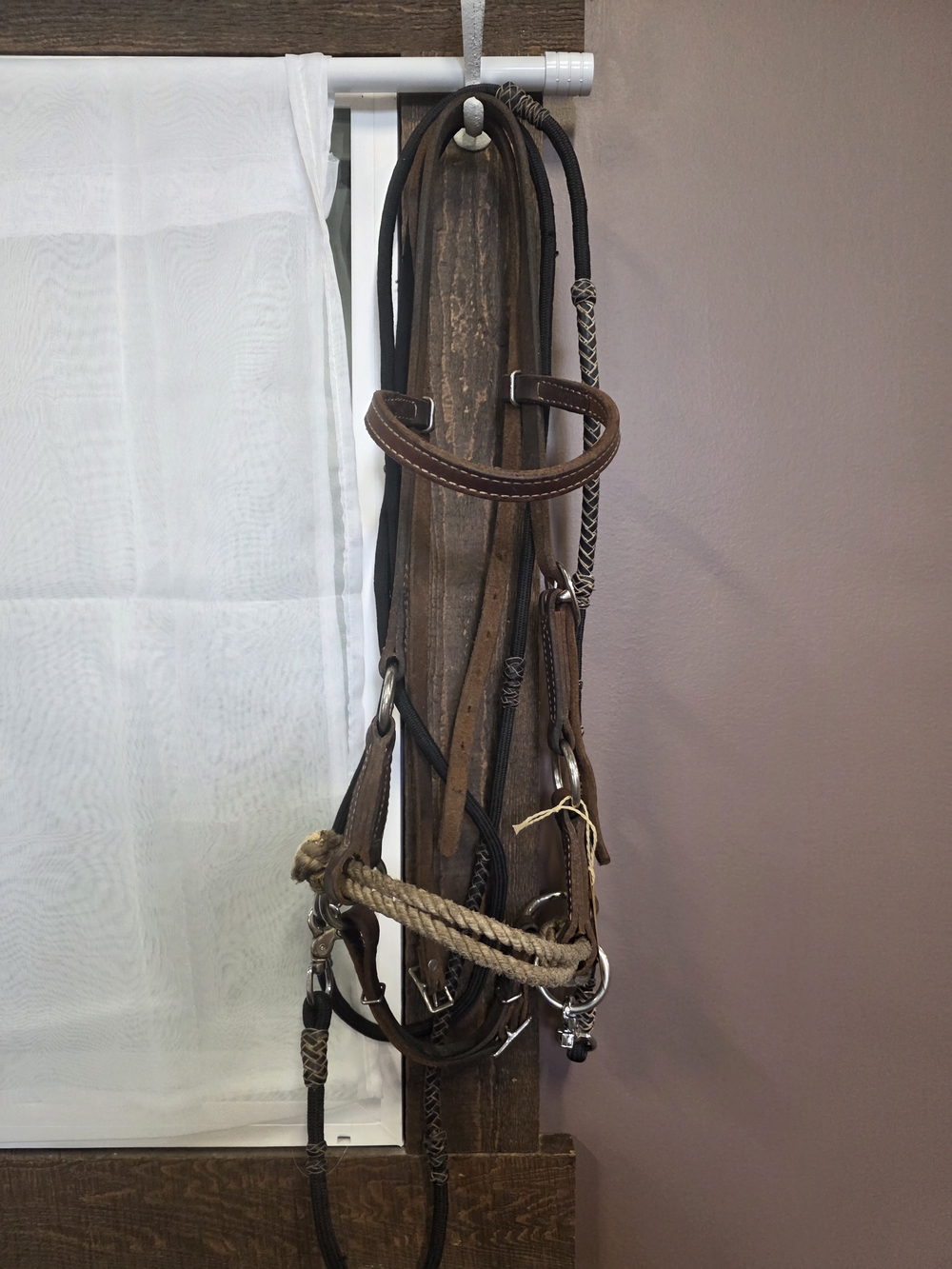Brown Leather Hackamore
